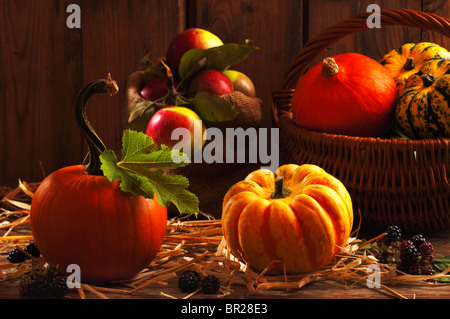 Ernten Sie Einstellung mit Kürbisse, Kürbisse, Obstgarten Äpfel und Blackberry Früchte Stockfoto