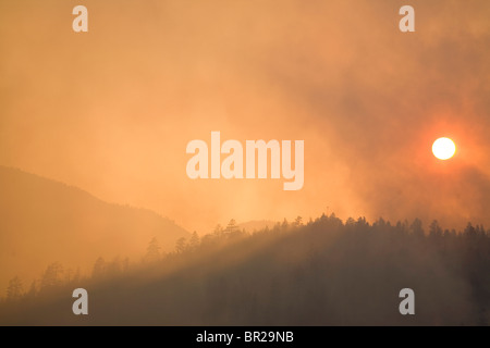 Angora-Feuer in South Lake Tahoe, Kalifornien Stockfoto
