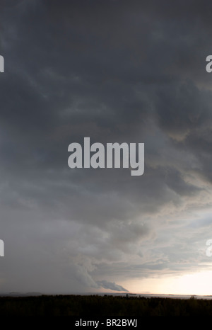 Regensturmwolken steigen vom Horizont, Finnland Stockfoto