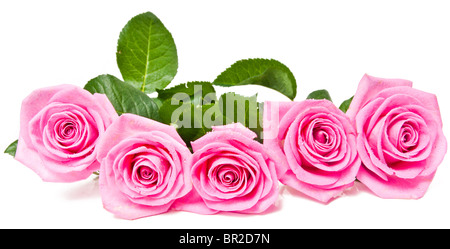 schöne rosa Rosenstrauß Stockfoto