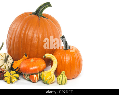 Kürbisse und Kalebassen Stillleben isoliert auf weißem Hintergrund Stockfoto