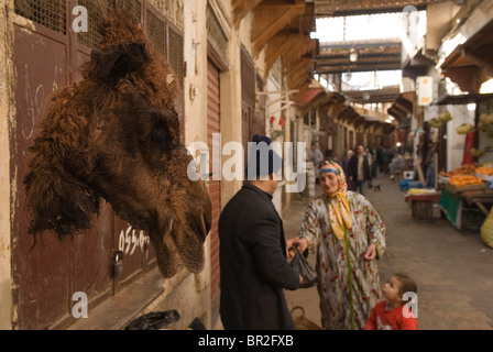 Kamele Kopf in einem marokkanischen Souk in Fes el Bali, Marokko, Nordafrika. 2000s 2007 Dies ist ein Zeichen, um zu zeigen, dass Kamelfleisch ist im Verkauf. HOMER SYKES Stockfoto