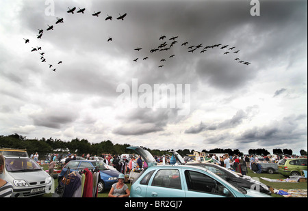 Fliegende Schwarm Gänse über Flohmarkt. Stockfoto