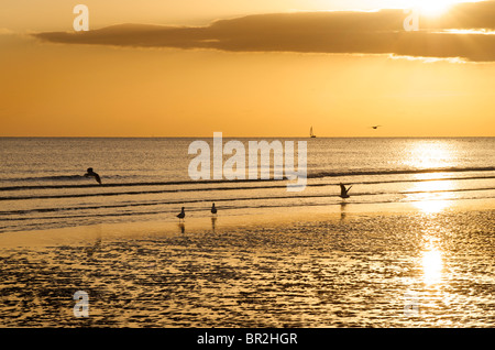 Sonnenuntergang am Brighton Beach Lat Ebbe, Brighton & Hove, East Sussex, England Stockfoto