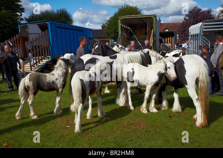 Gypsy Horse Fair Horsmonden Stockfoto