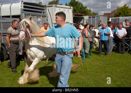 Gypsy Horse Fair Horsmonden Stockfoto