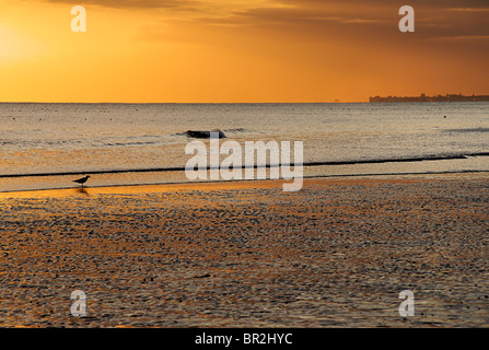 Sonnenuntergang am Strand von Brighton nach Westen Lat Ebbe, Brighton & Hove, East Sussex, England Stockfoto
