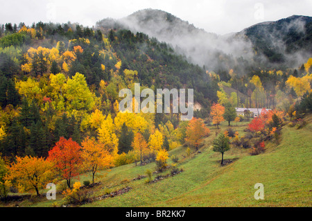 Herbstfarben in Rumänien Region der Türkei, Trabzon Stockfoto