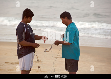 Indische Fischer reparieren ihre Netze am Strand. Entwirrt eine Krabbe, Goa, Indien Stockfoto