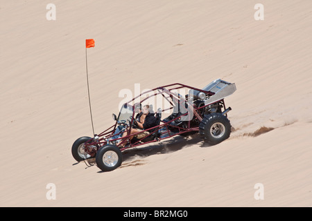 Zwei sportliche Jungs, die einen Buggy durch die Sanddünen in Michigan MI USA fahren, von oben aus ein ungewöhnliches Auto mit hoher Auflösung Stockfoto