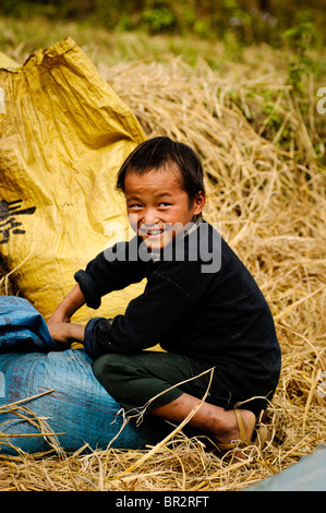 Vietnamesische jungen arbeiten in den Reisfeldern in Sapa, Vietnam Stockfoto