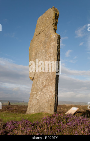 Einzelner Stein am Ring von Brodgar auf den Orkney Inseln, Schottland Stockfoto