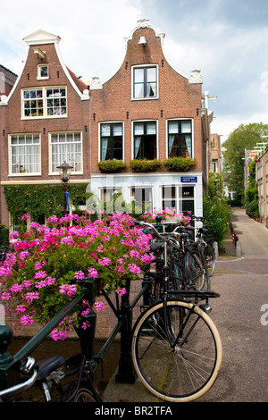 typische holländische Häuschen im Jordaan-Viertel in Amsterdam Stockfoto