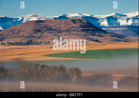 Ackerland in Bergville am Fuße der Drakensberge Mountain, Südafrika Stockfoto