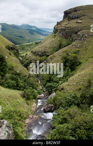 Hochmoor Naturschutzgebiet, uKhahlamba Drakensberg Park, Südafrika Stockfoto