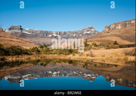 Das Amphitheater, Drakensberg Berge, Royal Natal National Park, Südafrika Stockfoto