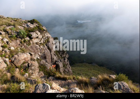 Hochmoor Naturschutzgebiet, uKhahlamba Drakensberg Park, Südafrika Stockfoto