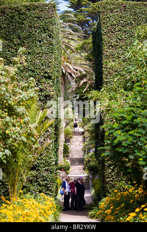 Tropical Klostergarten, Tresco, Isles of Scilly Stockfoto