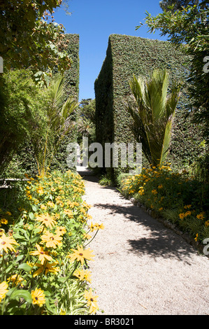 Tropical Klostergarten, Tresco, Isles of Scilly Stockfoto