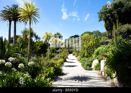 Tropical Klostergarten, Tresco, Isles of Scilly Stockfoto