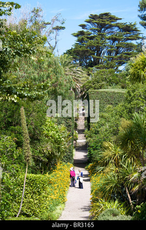 Tropical Klostergarten, Tresco, Isles of Scilly Stockfoto