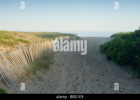 Sanddünen, ein Zaun und Sträucher säumen den Pfad zum Egypy Strand, East Hampton, Long Island, NY. Stockfoto