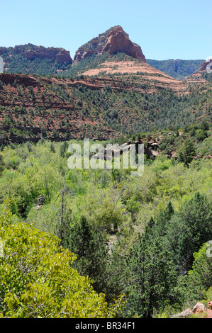 Slide Rock State Park Sedona Arizona Highway 89A Stockfoto