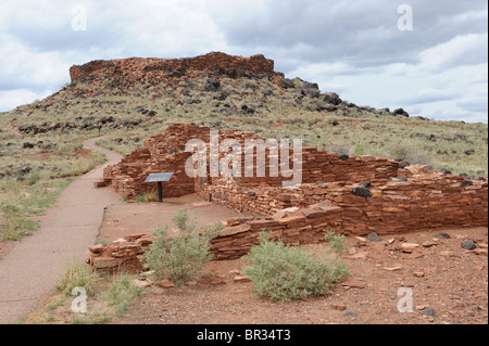 Ruinen der Zitadelle Trail Pueblo Wupatki National Monument Flagstaff Arizona Stockfoto