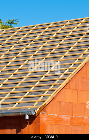 Neuer Bungalow aufgeschlagen Dachkonstruktion zeigt Nadelholz Kiefer Holz Latten - Indre-et-Loire, Frankreich. Stockfoto