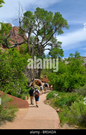 Wanderer in der Nähe von Zion Lodge Mount Zion Nationalpark, Utah Stockfoto