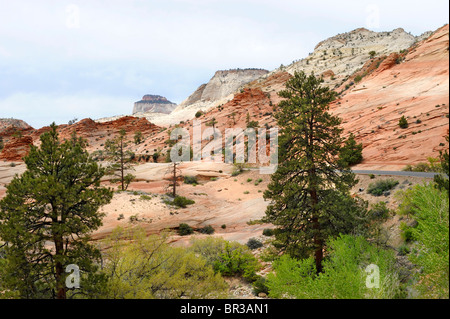 Zion Berg Karmel Autobahn Mount Zion National Park Utah Stockfoto