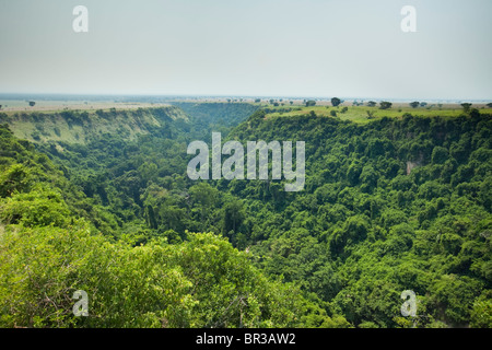 Ansicht des Kyambura River Gorge, Queen Elizabeth National Park, Uganda Stockfoto