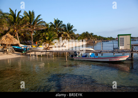 Ambergis Caye, Belize Stockfoto