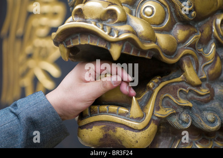 Verehrer streichelt Messing Löwe Hoffnung zur Verbesserung der Gesundheit, Wenshu Tempel, Chengdu, Provinz Sichuan, China Stockfoto