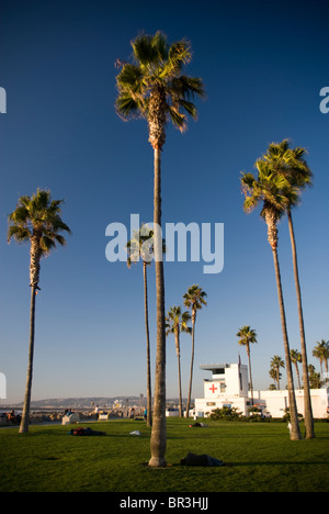 Palmen säumen einen grasbewachsenen Park neben dem Ocean Beach. San Diego, Caifornia. Stockfoto