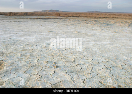 Ehemaliger Meeresboden des Aralsees, Kasachstan. Stockfoto