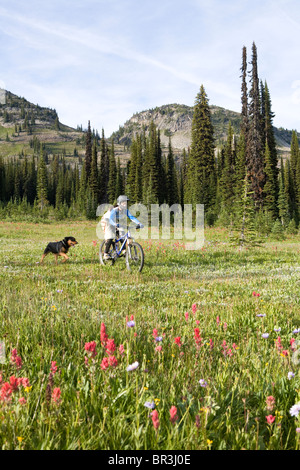 Biken in Alp, Sol Berg, BC Stockfoto