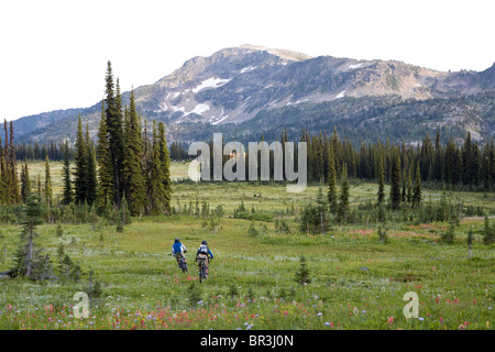 Biken in Alp, Sol Berg, BC Stockfoto