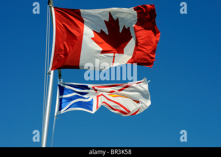 Die Fahnen von Kanada und Neufundland und Labrador von einem Fahnenmast geflogen Stockfoto