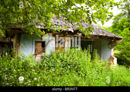 Alte verlassene Hausruine mit Vegetation bedeckt Stockfoto