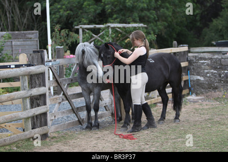 Teenager-Mädchen fangen ein schwarzes Pony in einem Feld Stockfoto