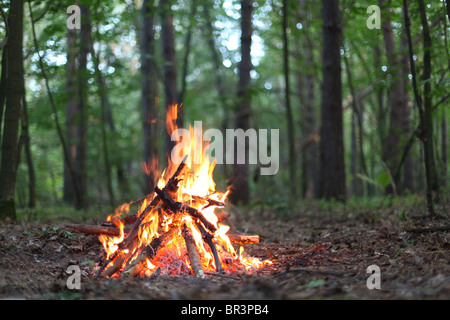 Lagerfeuer im Wald. Stockfoto