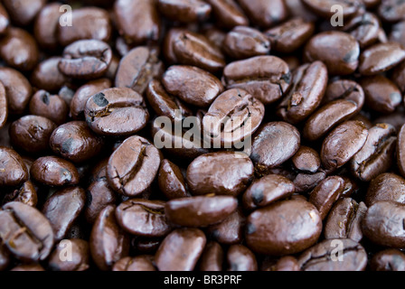 Kaffee Bohnen Stockfoto