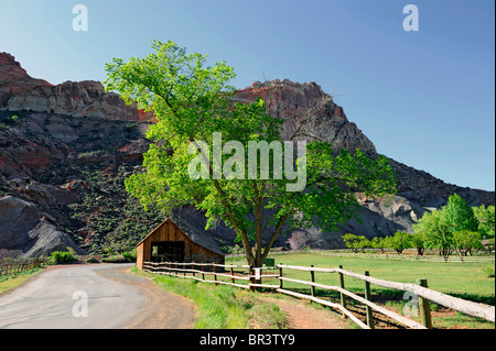 Historische Gifford Bauernhof Museum Capitol Reef Nationalpark-Utah Stockfoto