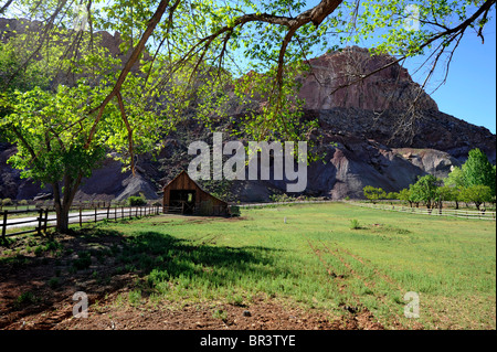 Historische Gifford Bauernhof Museum Capitol Reef Nationalpark-Utah Stockfoto