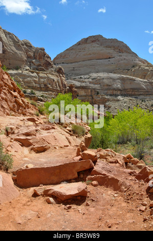 Kuppel des Kapitols entlang Fremont River Capitol Reef National Park, Utah Stockfoto