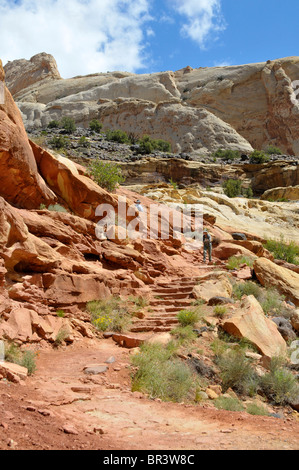 Kuppel des Kapitols entlang Fremont River Capitol Reef National Park, Utah Stockfoto