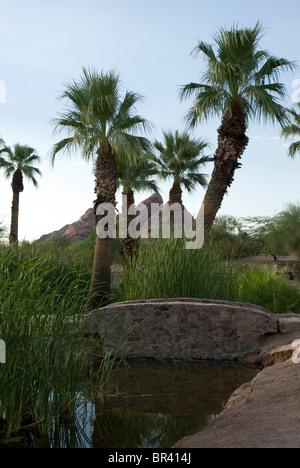 Eine Brücke und einen Teich in einer Ansicht des Papago Park in Phoenix und Tempe, Arizona, USA Stockfoto