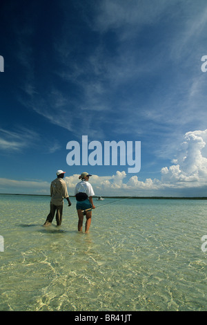 Auf der Suche nach einem Bonefish in der Nähe von Andros Island, Bahamas Stockfoto