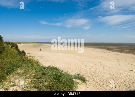 Strand und Dünen auf Langeoog, Deutschland Stockfoto